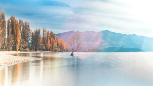Lake Wanaka