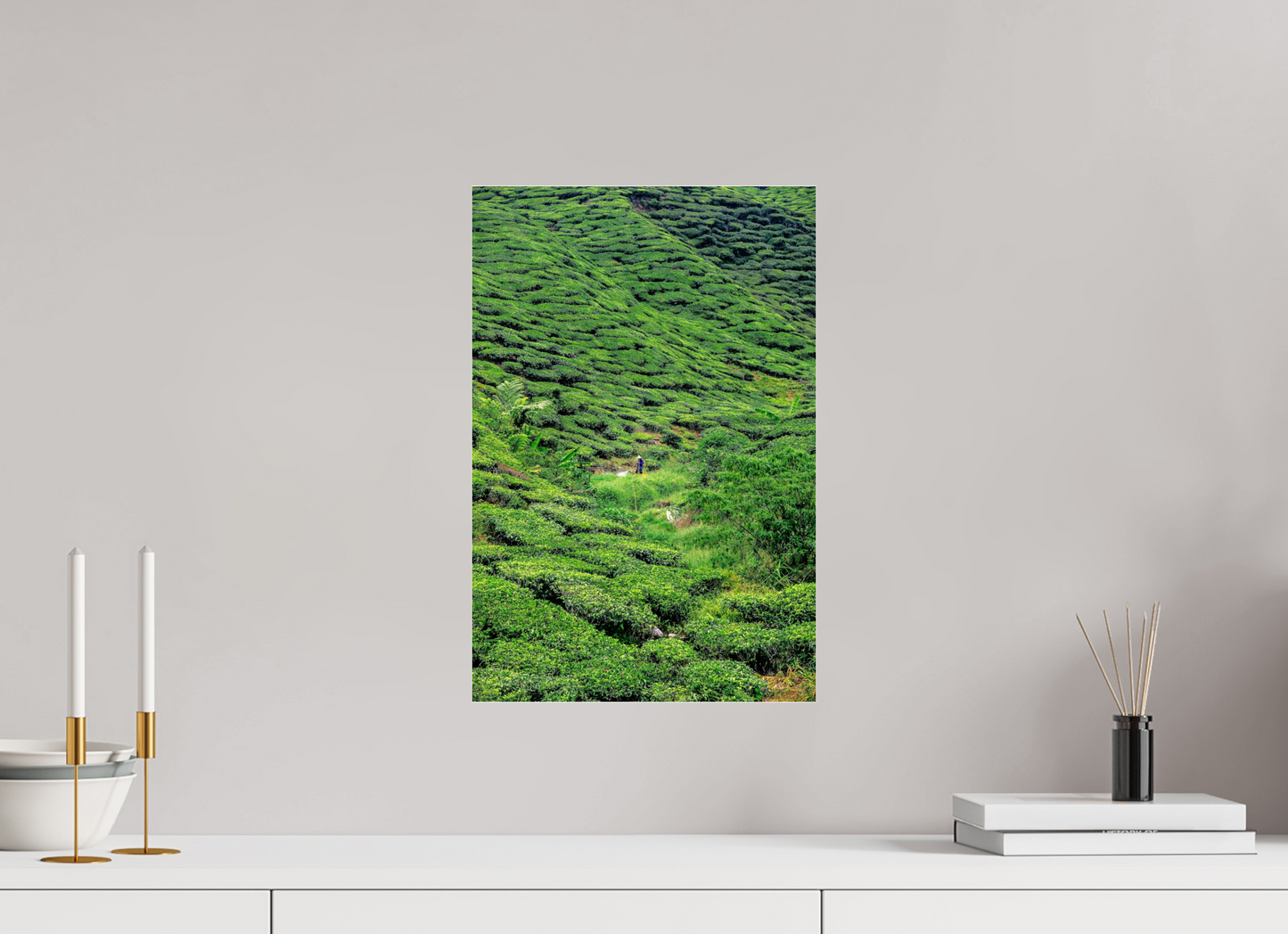 Cameron Highlands, Malaysia