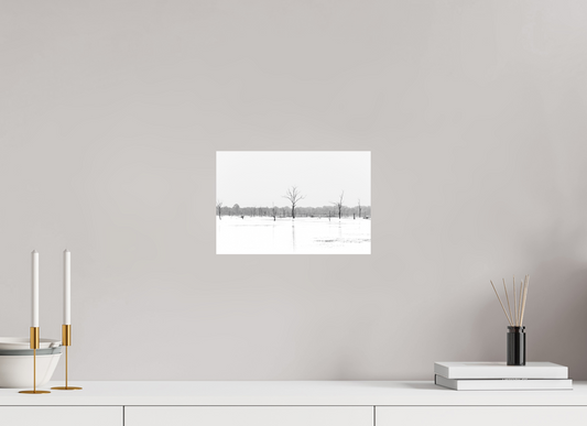 Siem Reap treeline - Black & White